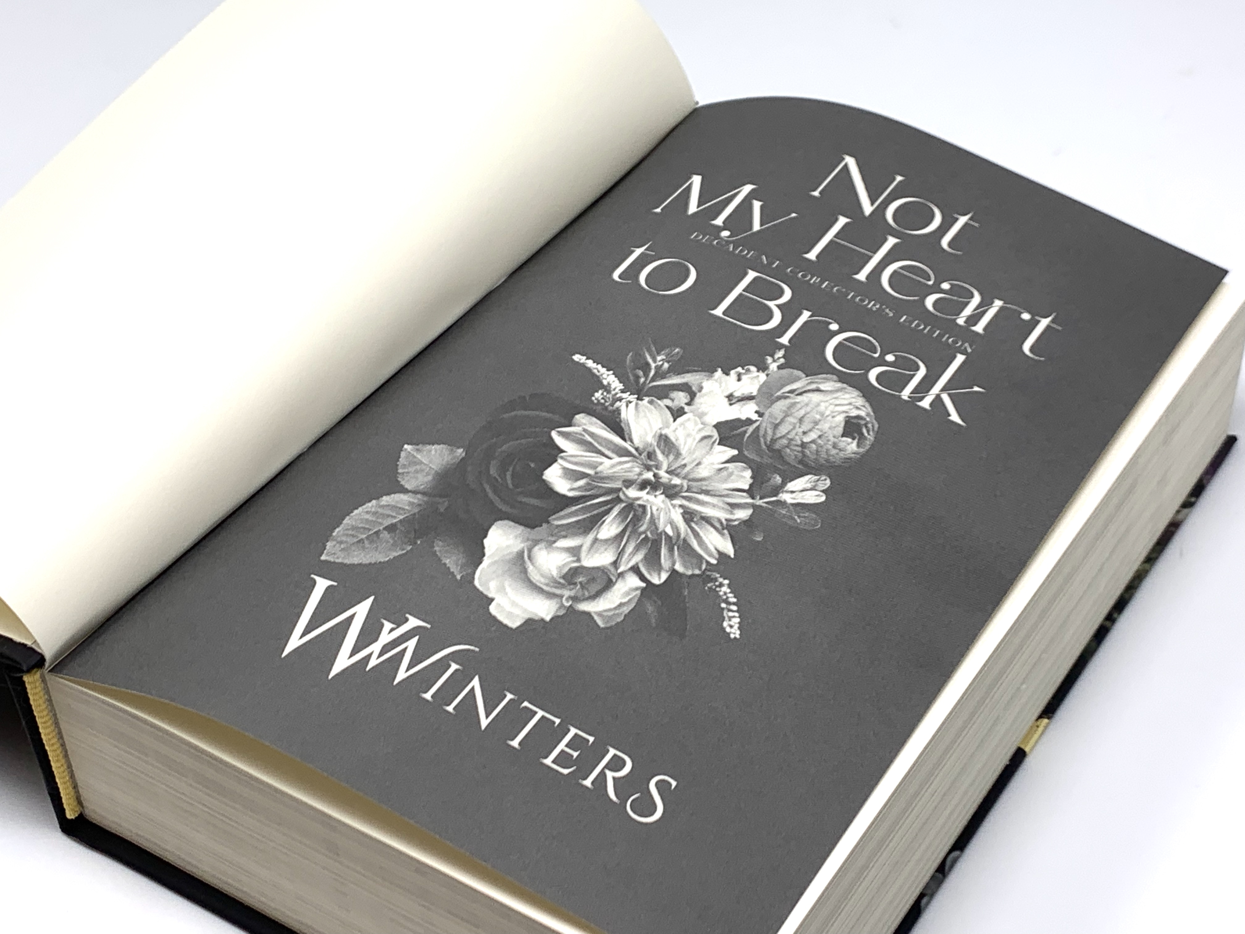 "Not My Heart to Break" by Willow Winters title page
